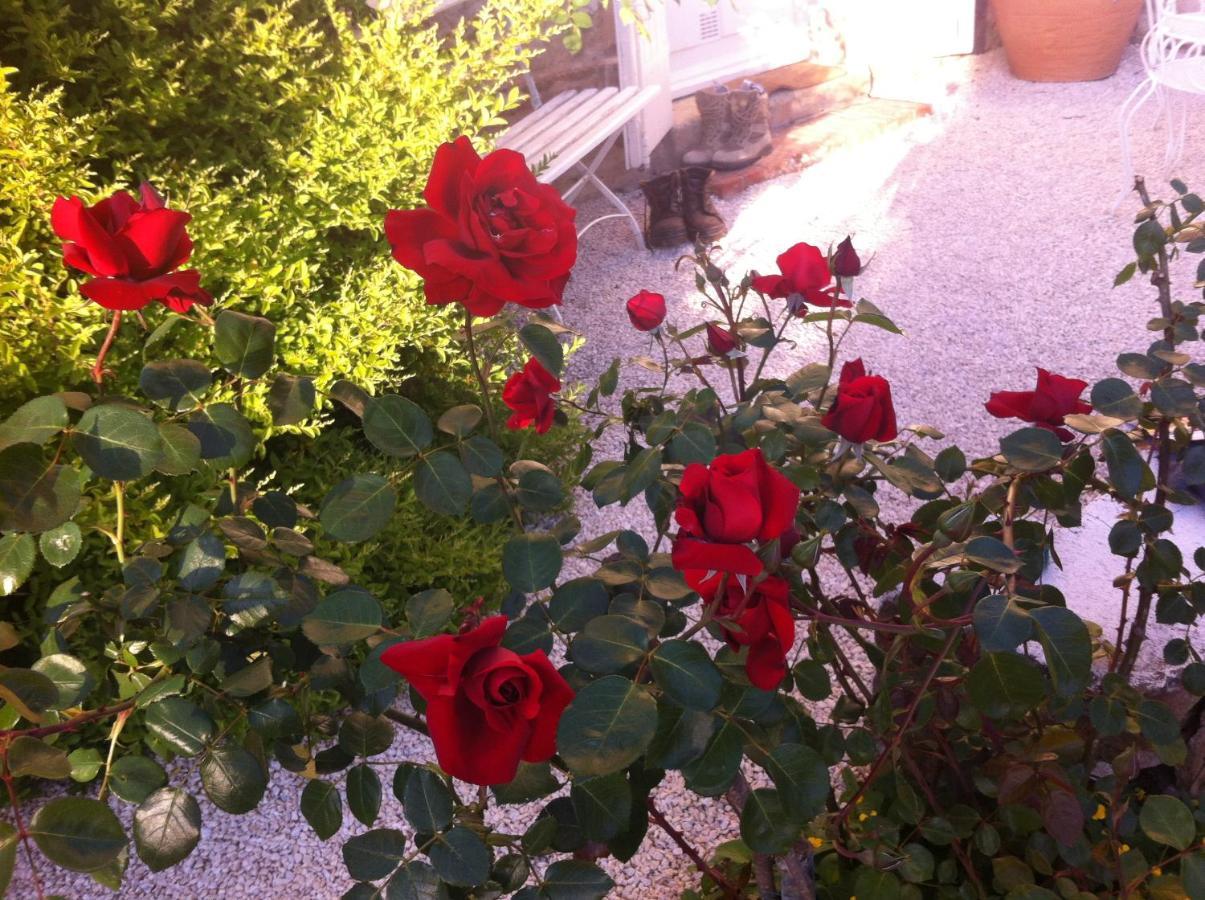 L'Ecrin Bed & Breakfast Villeneuve-sur-Lot Dış mekan fotoğraf
